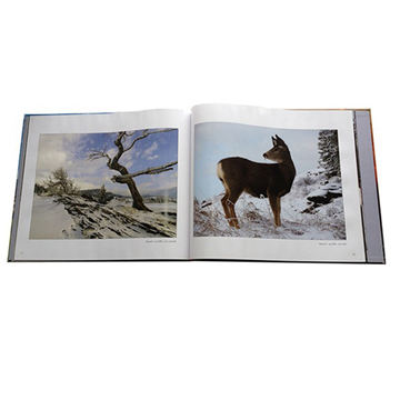 High-end custom print Photo Hardcover Books (2)