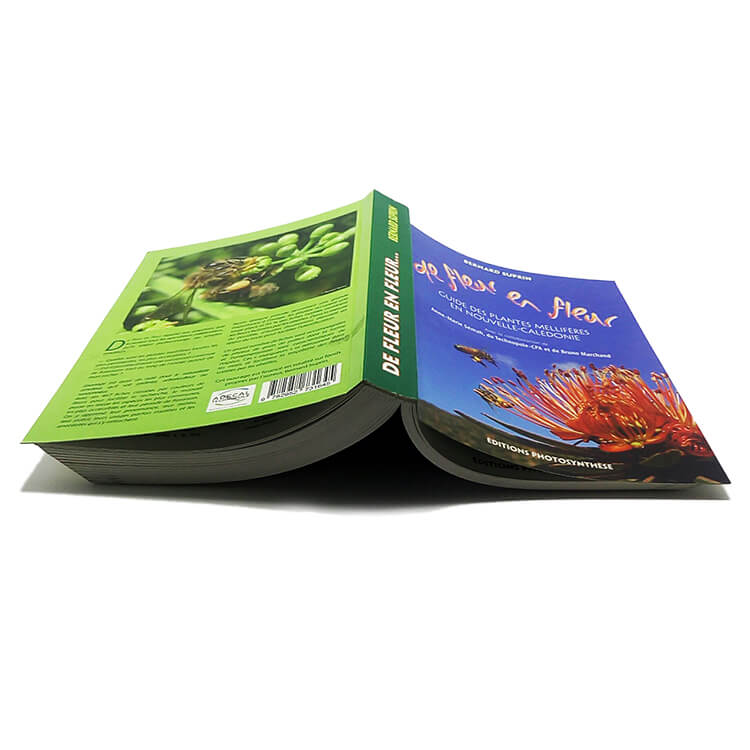 Custom Cheap Booklet - Brochure - Magazine Catalog Printing 2019