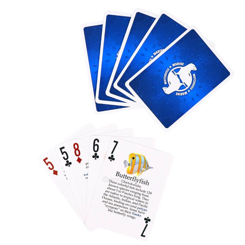 Custom Education Flashcards Printed Both Sides Poker Card Game
