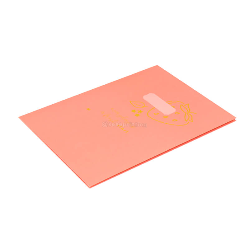 Custom Foil Logo Print A4 Paper Files Folders with Pockets