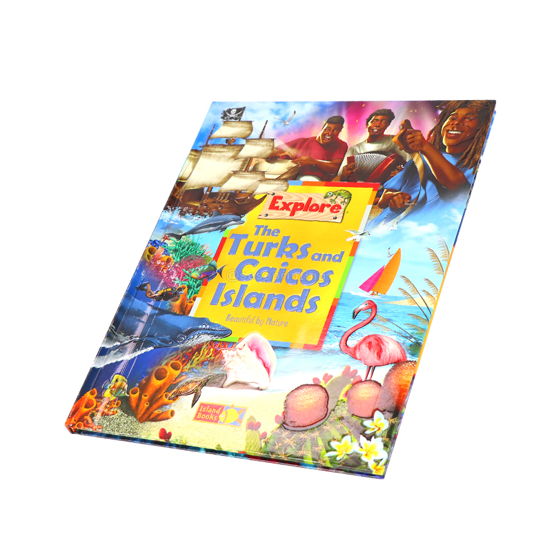 Custom Hardcover Children Books Printing Activity Books for Kids