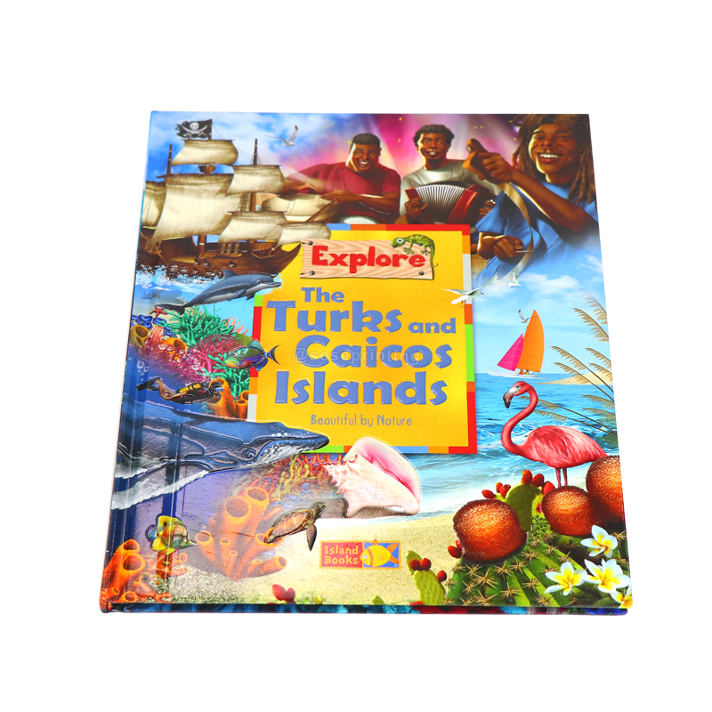 Custom Hardcover Children Books Printing Activity Books for Kids