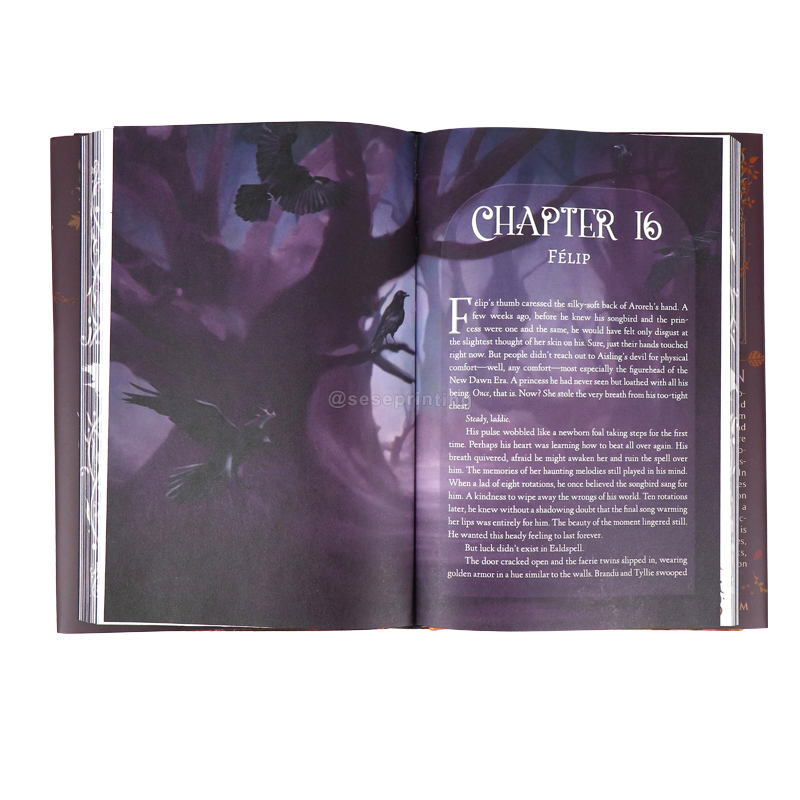 Publishing Book Custom Full Color Hardcover Sprayed Edges Book