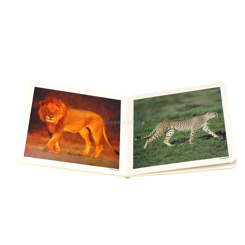 China Book Custom Printing Service Hardcover Children Board Books