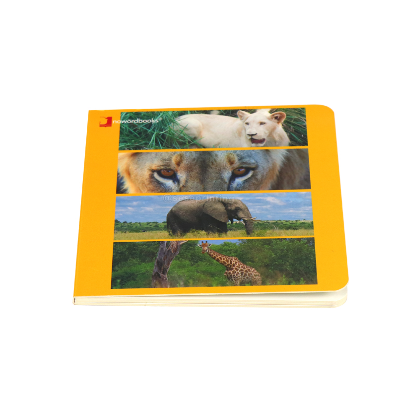 China Book Custom Printing Service Hardcover Children Board Books