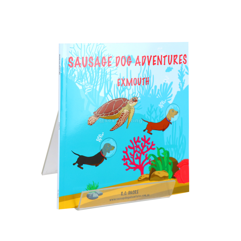 Full Color Printing Glossy Soft Cover Childrens Story Book