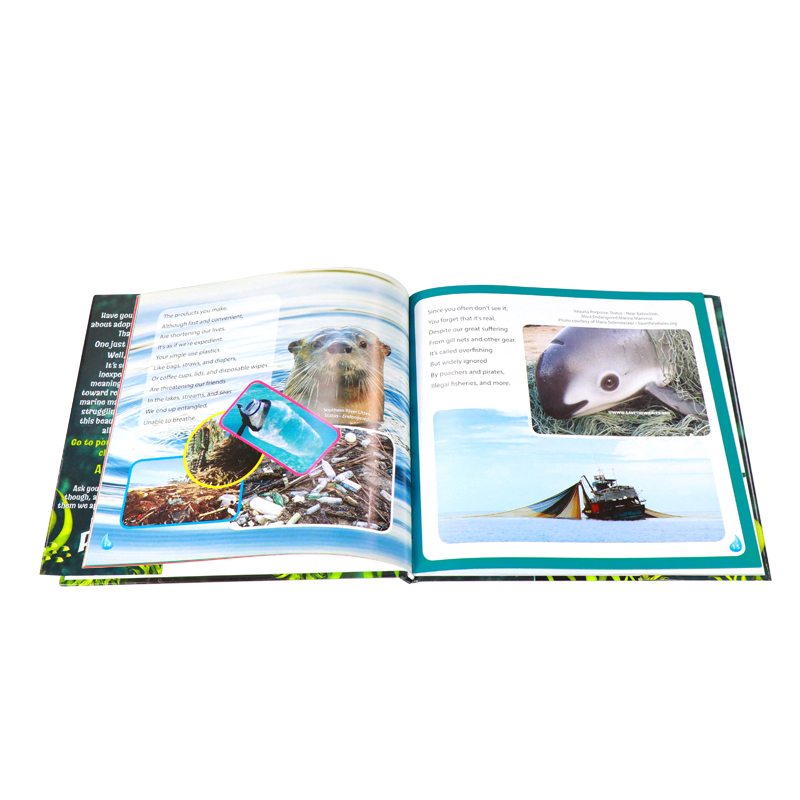 Custom Printing Book Services Children Activity Illustration Book