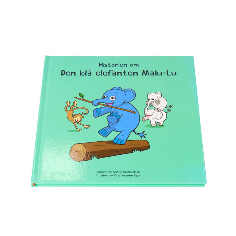 China Book Publishing Services Hardcover Children Book Printing