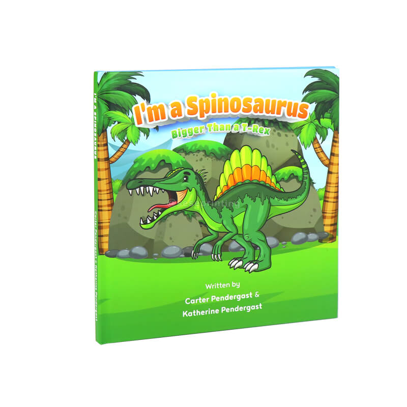 Custom Hardcover Children Illustration Story Book Printing Service