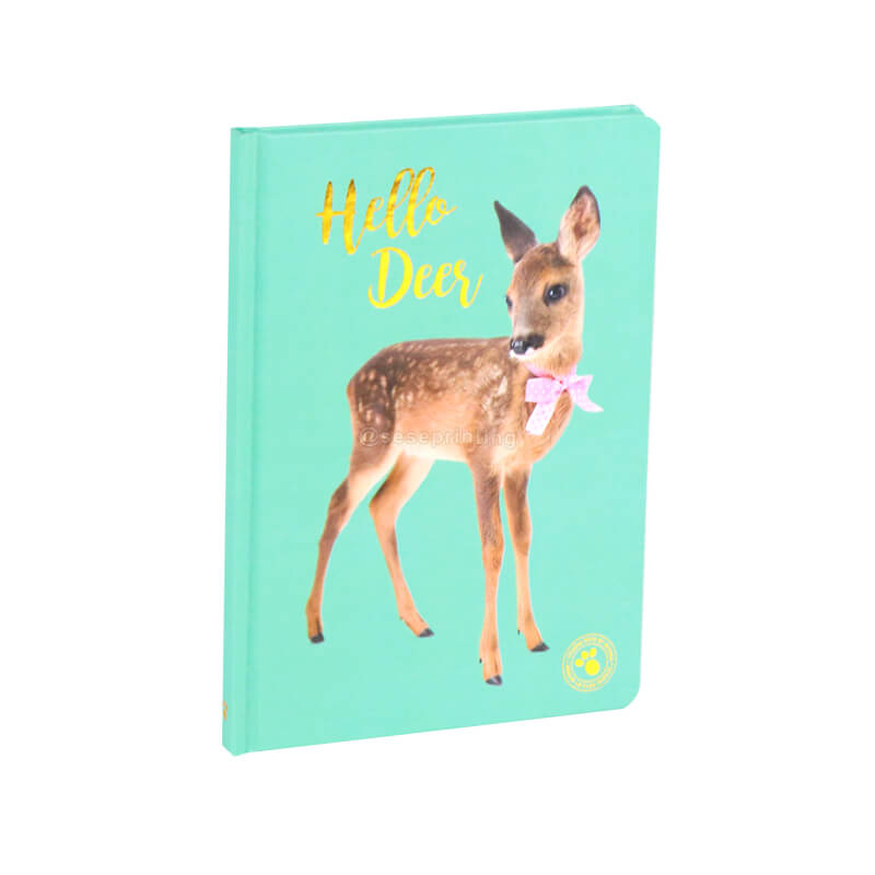 Foil Journal Personalized Hardcover Notebook Printing in China