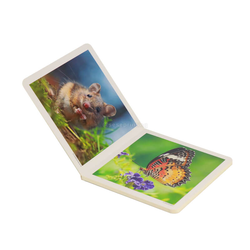 Custom Children Books High Quality Memory Cardboard Book for Kids