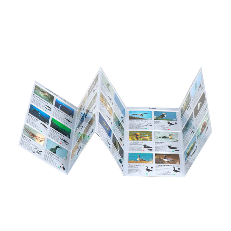 Folding Brochure Printing Coated Paper Promotion Leaflet Flyers