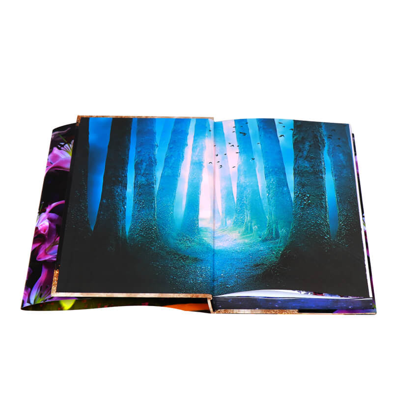 Full Color Printing Hardback Book with Foil Dust Jacket and Sprayed Edges