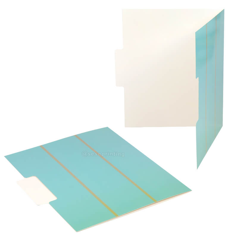 Custom Printing A4 Paper Presentation File Folder with Tab