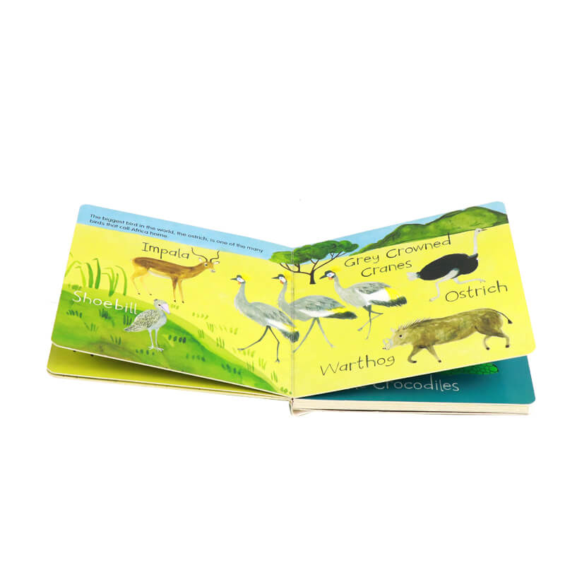 Touch & Learn Children Board Book with Spot UV and Die-Cut