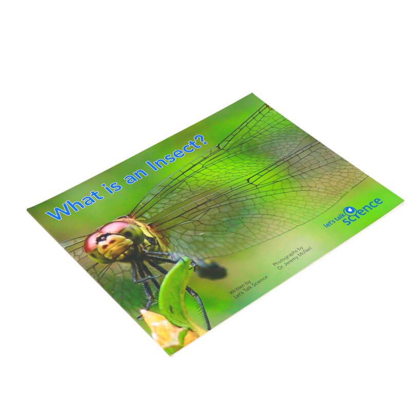 Children Reading Insect Book Printing Paperback Baby Kids Book