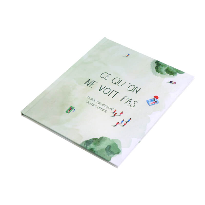 Book Printing Services Full Color Hardcover Childrens Story Book