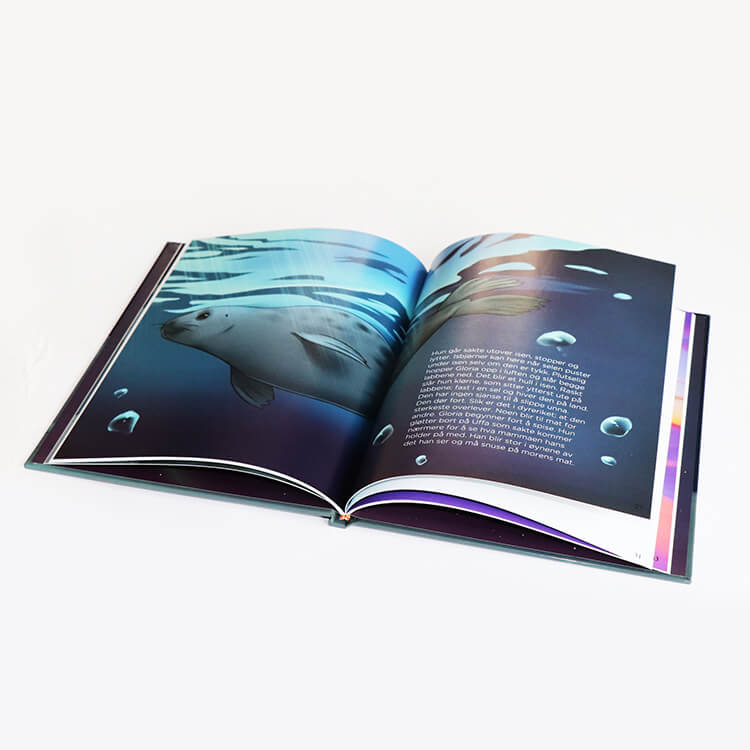 Book Printing Services | Children Hardcover Picture Book