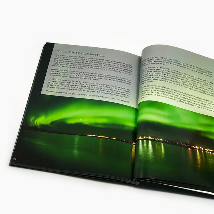 4c+4c Cmyk Pantone Eco-friendly Custom Book Printing