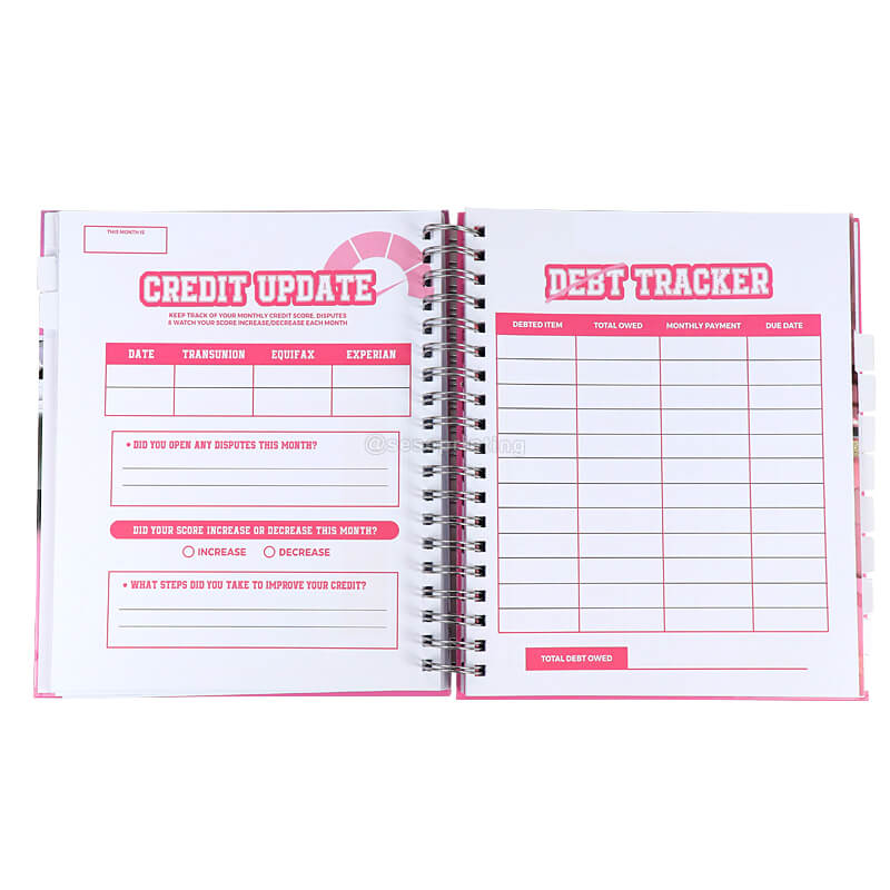 Custom Daily Monthly Finance Organizer Journal Budget Planner Book